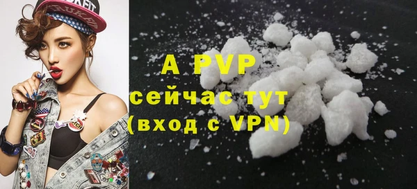 apvp Верея