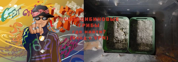 дурь Медвежьегорск