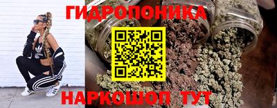 дживик Кимры