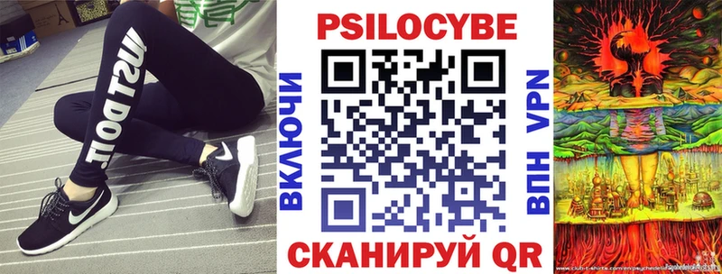 Галлюциногенные грибы Psilocybine cubensis  Муром 