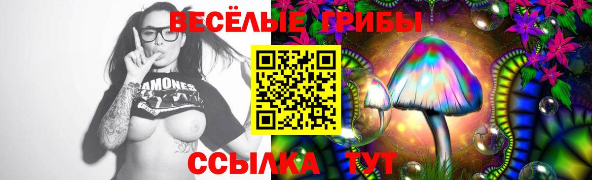 Галлюциногенные грибы Magic Shrooms  Вход с VPN  Муром 
