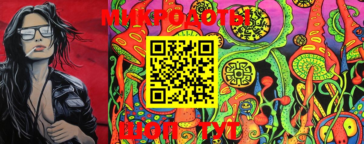 Галлюциногенные грибы Cubensis Муром